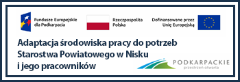 Adaptacja środowiska pracy do potrzeb Starostwa Powiatowego w Nisku i jego pracowników