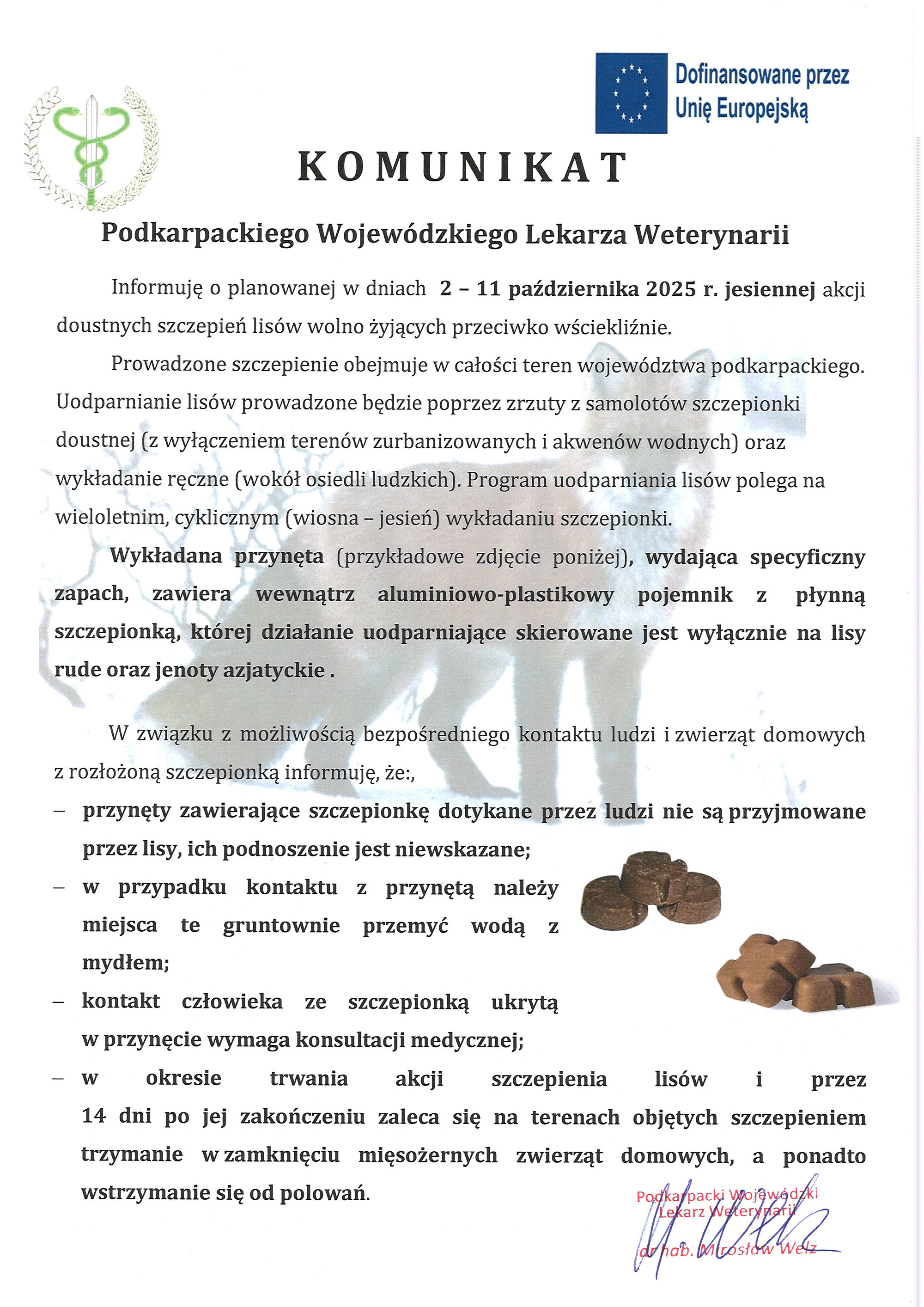 komunikat lisy